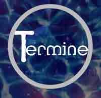 Termine